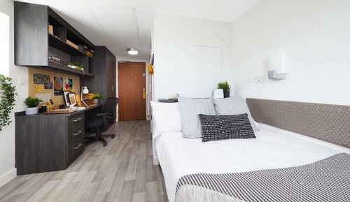 Single Room, Non Smoking