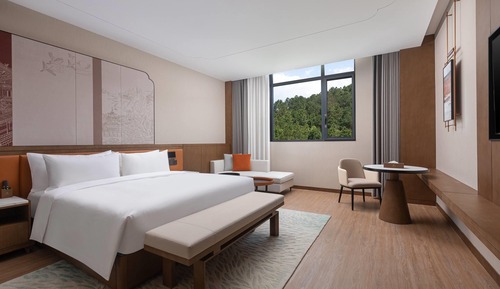 Room, 1 King Bed, Non Smoking, Mountain View