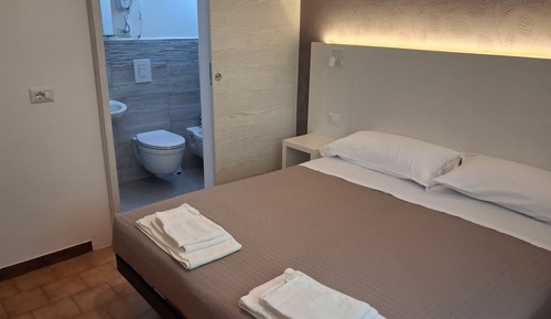 Double or Twin Room