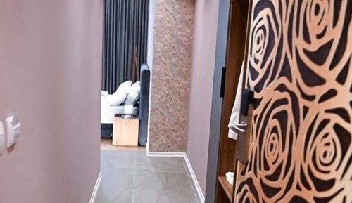 Junior Studio Suite
