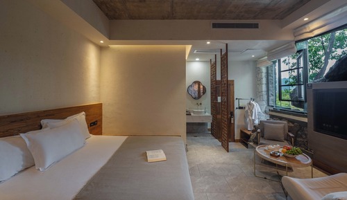Basic Double Room