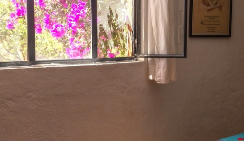 Deluxe Cottage, Garden View