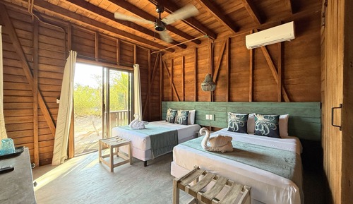 Standard Room, Pets Allowed
