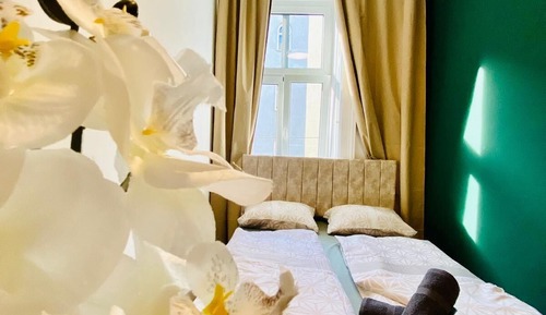 Basic Room
