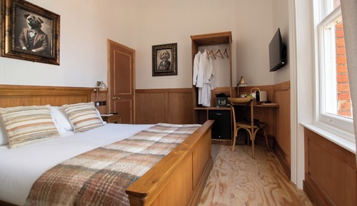 Standard Double or Twin Room