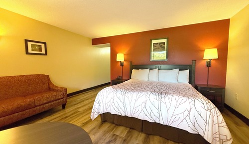Deluxe Room, 1 King Bed, Fireplace, Mountain View