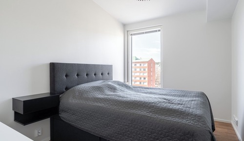 Deluxe Apartment, 1 Queen Bed with Sofa bed, Kitchen, City View