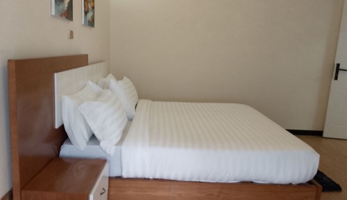 Deluxe Apartment, City View
