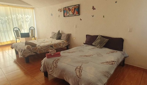 Comfort Quadruple Room
