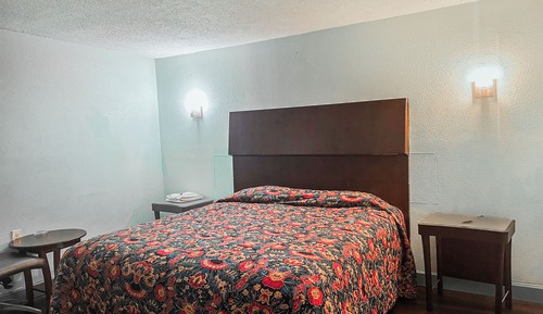 Room, 1 King Bed, Smoking