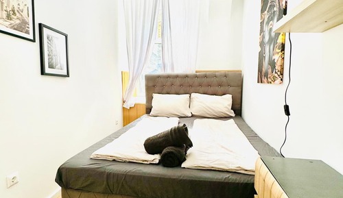 Basic Room