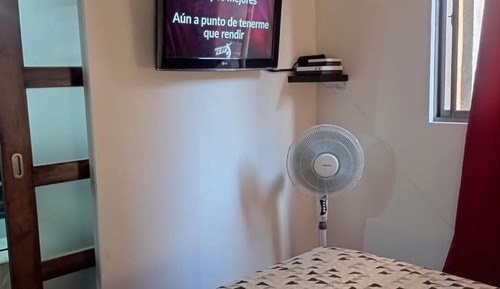 Basic Apartment