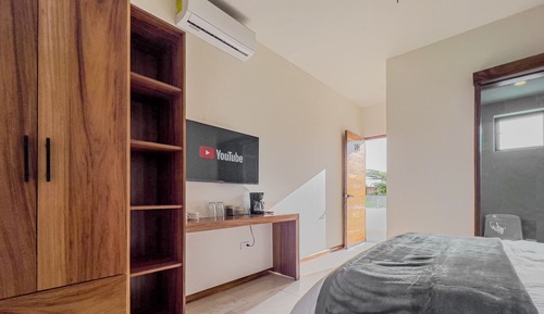 Junior Standard Suite 14
