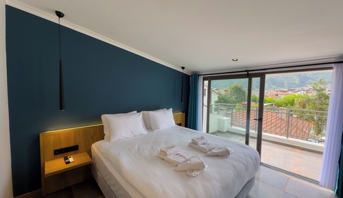 Standard Double Room, 1 King Bed, Mountain View