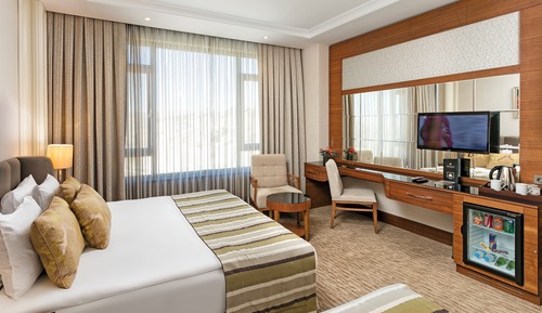 Standard Room, City View