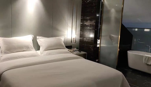 Executive Studio Suite