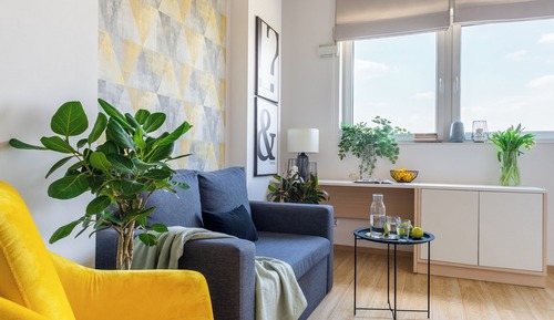 Classic Studio Suite