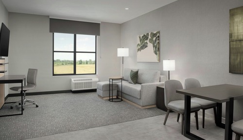Suite, 1 King Bed with Sofa bed