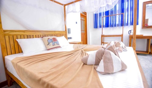 Comfort Double or Twin Room