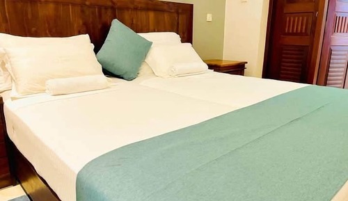 Deluxe Double or Twin Room, Patio