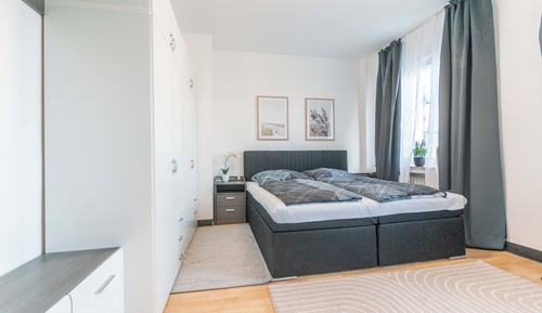 Business Apartment, 1 King Bed with Sofa bed, Kitchen