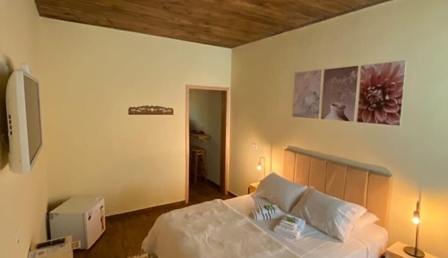 Classic Double Room, Garden View