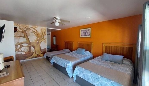 Basic Triple Room
