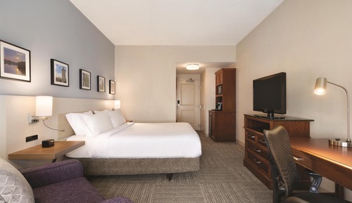 Room, 1 King Bed