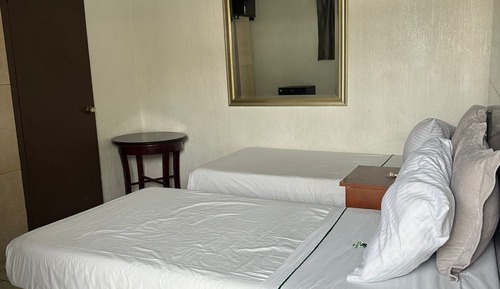 Basic Twin Room