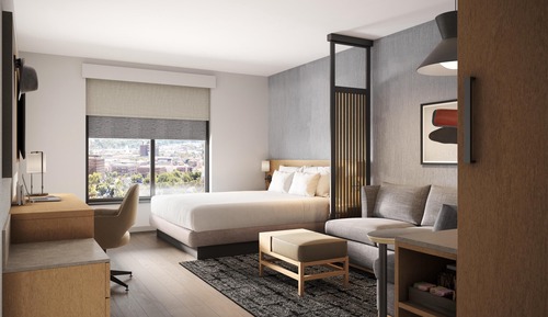 Room, 1 King Bed with Sofa bed