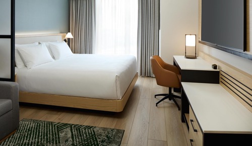 Room, 1 King Bed with Sofa bed