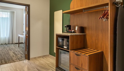 Suite, 1 King Bed with Sofa bed, Refrigerator & Microwave