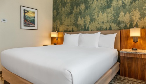 Deluxe Room, 1 King Bed, Hearing Accessible (Upper Floor)