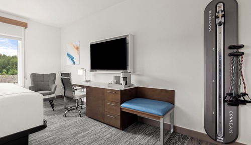 Premium Room, 1 King Bed (Trainer)