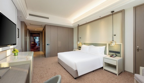 Standard Room, 1 King Bed, Accessible