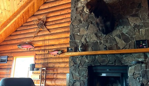 Comfort Cabin, Mountain View