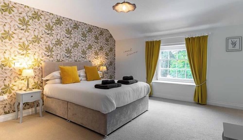 Comfort Apartment, 1 King Bed, Kitchen