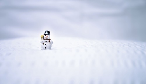 Schneemann - Einzelzimmer