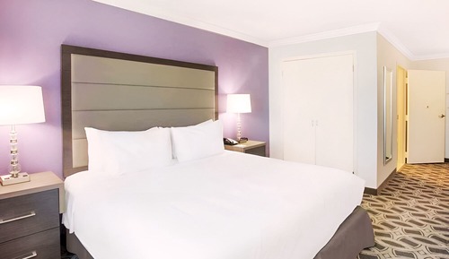 Standard Single Room, 1 King Bed, Mobility Accessible, Non Smoking