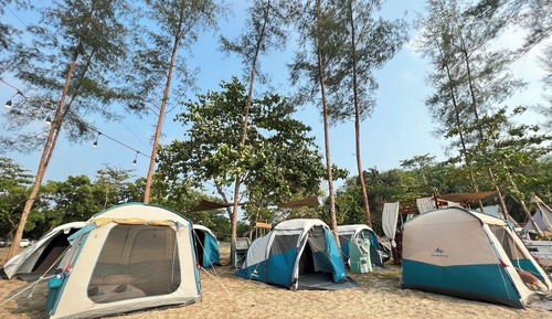 Basic Tent