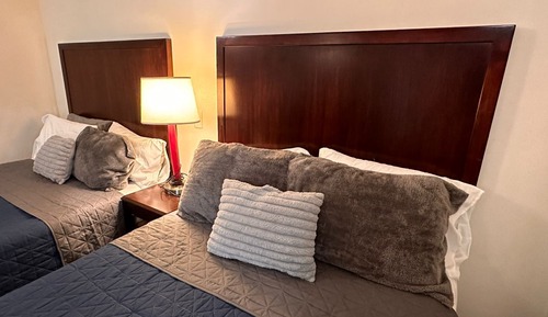 Basic Double Room