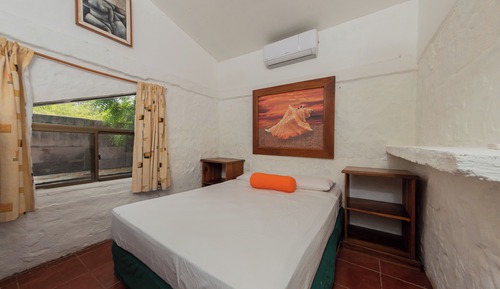 Standard Shared Dormitory, Multiple Beds