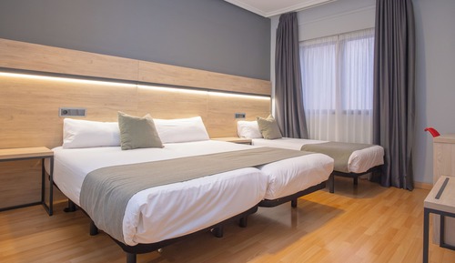 Basic Triple Room