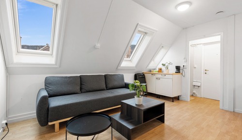Apartment, 3 Bedrooms, City View
