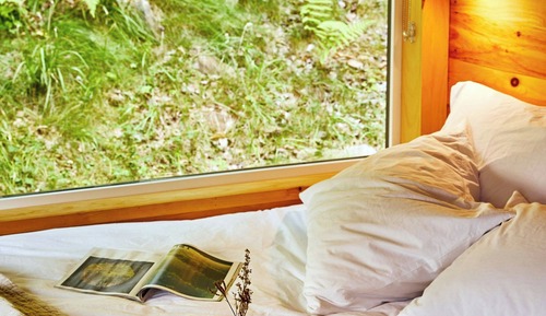 Cabin, 1 Queen Bed
