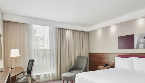 Room, 1 Queen Bed with Sofa bed