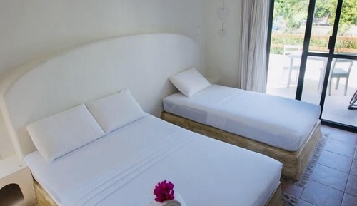 Executive Triple Room, Terrace