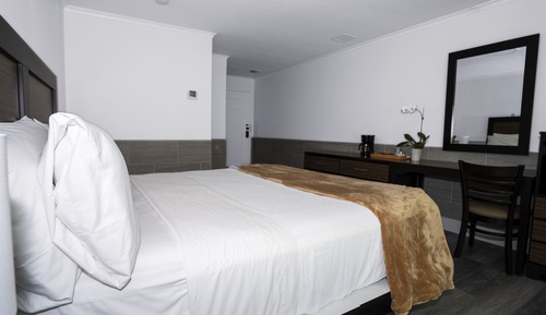 Standard Room (1 King bed- NO PETS)