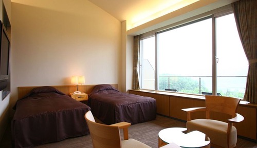 Deluxe Twin Room, Non Smoking (Single Use)