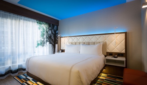 Premium Room, 1 King Bed (Walk-In Shower)